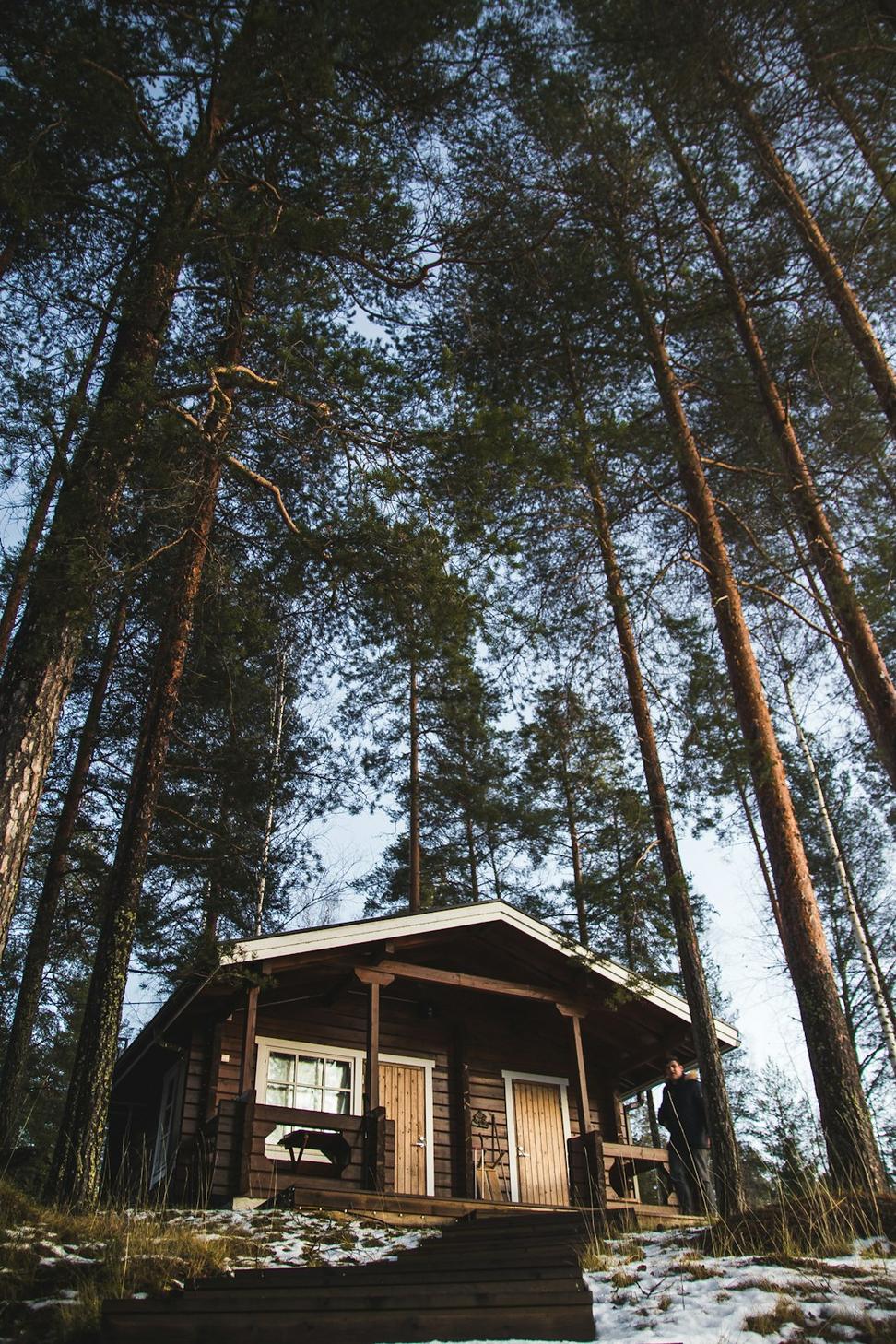 Squamish Forest Cabin