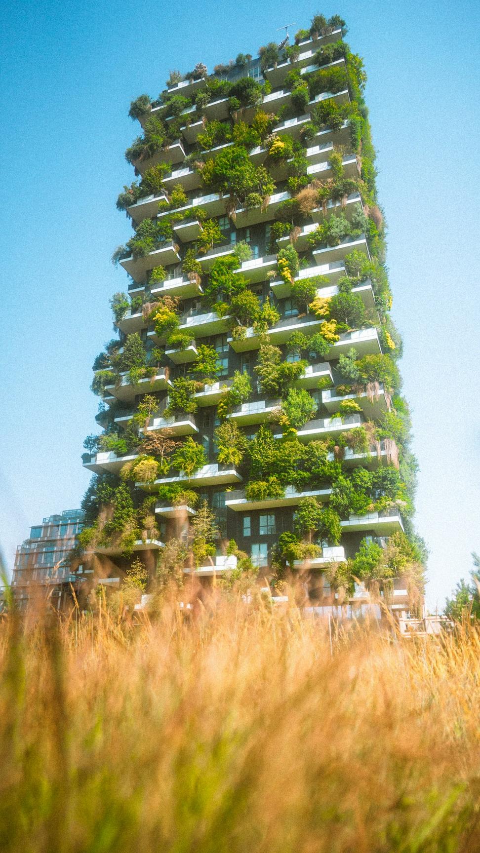 Sustainable Design Process